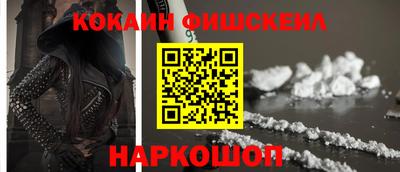 СК Гатчина