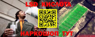 СК Гатчина