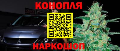 гидропоника Гагарин