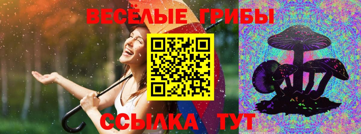 Галлюциногенные грибы Psilocybine cubensis  Вход с VPN  Семёнов  Галлюциногенные грибы Magic Shrooms 